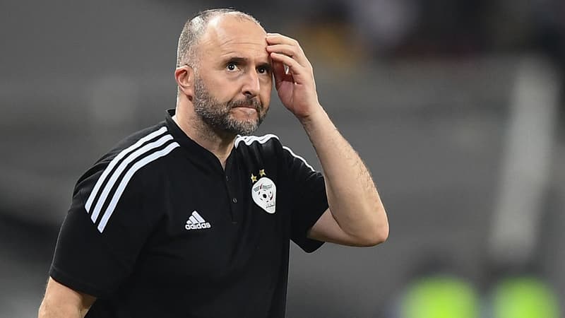 Algérie: “par principe”, Belmadi n’a vu aucun match de la Coupe du monde 2022