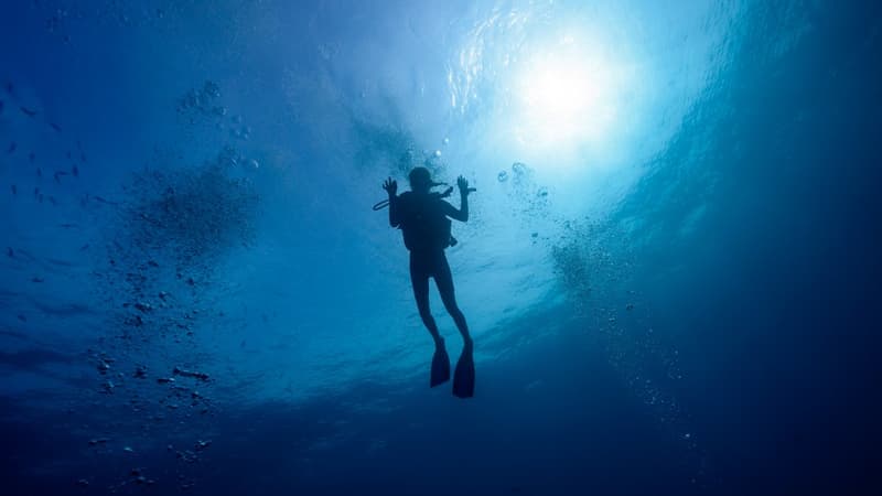 Hawaï: abandonnés en pleine mer lors de leur lune de miel, ils réclament 5 millions de dollars