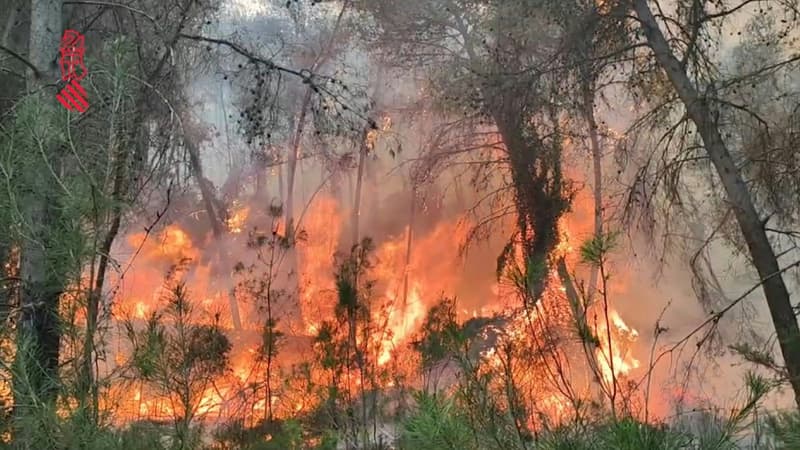 Espagne: un vent fort ravive le premier feu de forêt majeur de l’année, plus de 3800 hectares brûlés