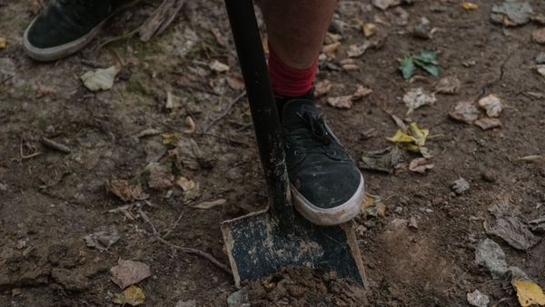 Alpes-de-Haute-Provence : il jardine tranquillement chez lui quand sa pelle bute sur une découverte perturbante