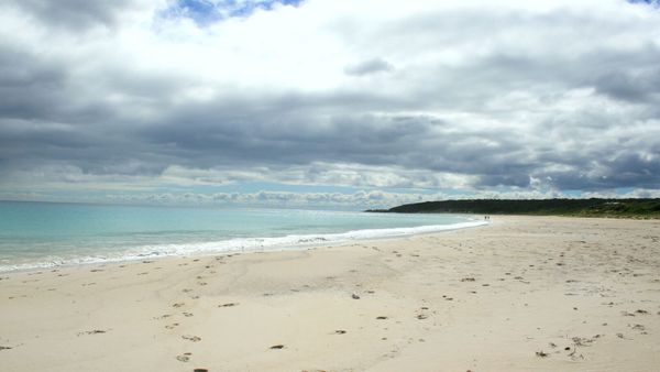 Elle ramasse un coquillage, un animal particulièrement dangereux caché dedans va lui faire vivre un enfer