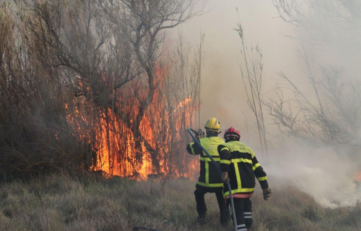 Pyrénées-Orientales : Plus de 20 hectares de brûlés au nord de Perpignan