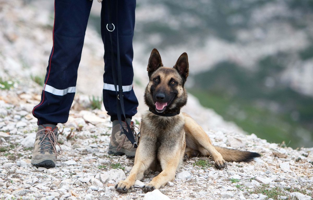 Toulouse : Un enfant de 6 ans disparaît pendant deux heures