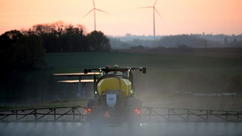 Glyphosate: la justice contraint le Luxembourg à réautoriser l’herbicide controversé
