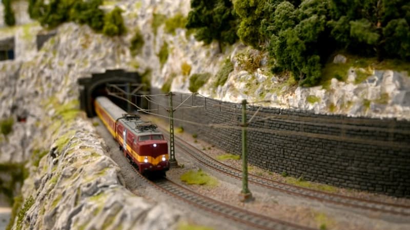 Suisse: un couple de retraités contraint de détruire un train construit il y a 30 ans dans son jardin