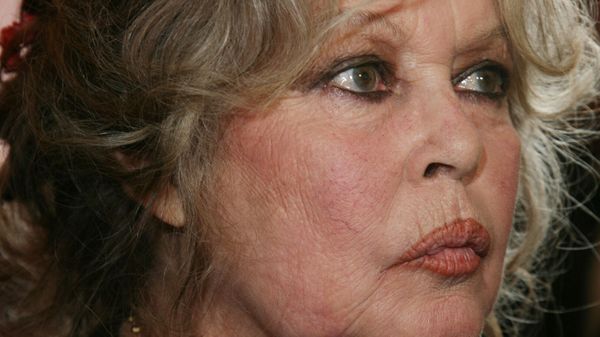  Brigitte Bardot au plus mal : l’actrice admise en soins intensifs, les causes dévoilées 