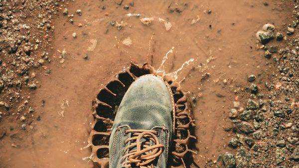 "Des doigts assez fins" sortis de terre : deuxième découverte macabre dans le Doubs en un mois
