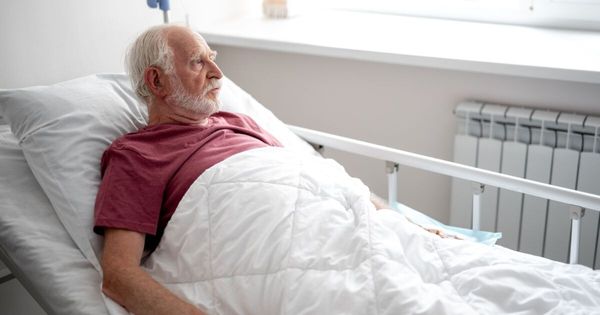 Il est emmené à l’hôpital après un malaise, son pigeon de compagnie le retrouve, un objet brillant dans le bec