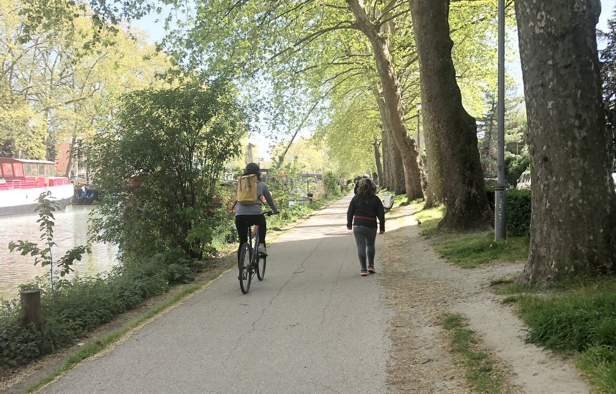 Tarn-et-Garonne : Un enfant de 9 ans tué par la chute d’un arbre alors qu’il se promenait à vélo