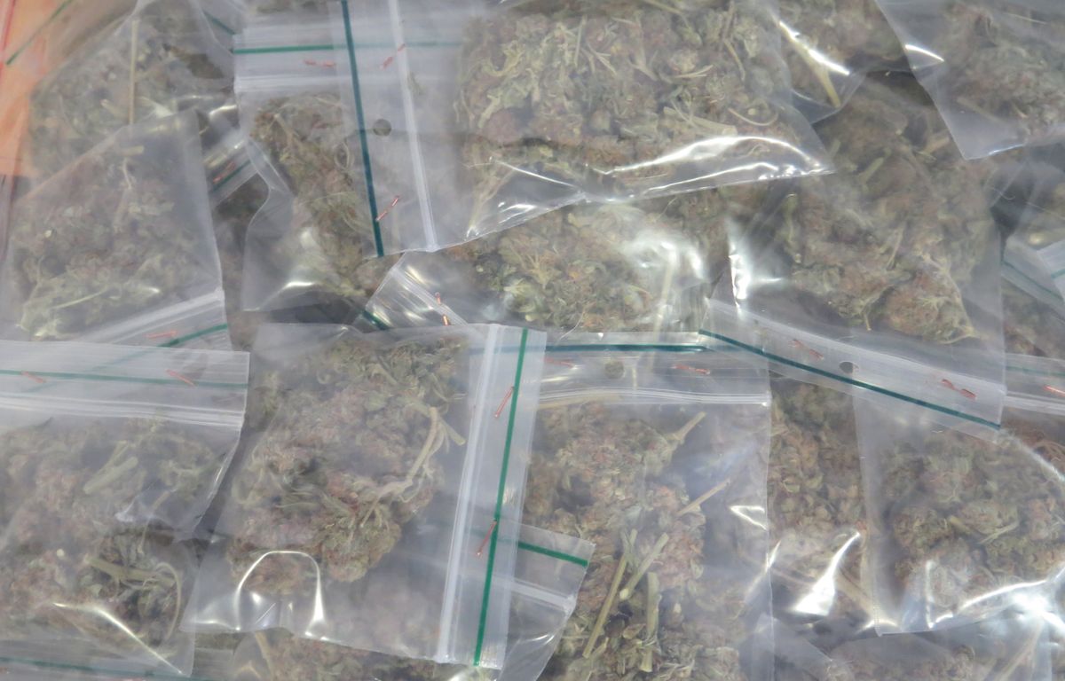 Toulouse : Les policiers interpellés, par hasard, par une odeur de cannabis retrouvent 26 kg d’herbe