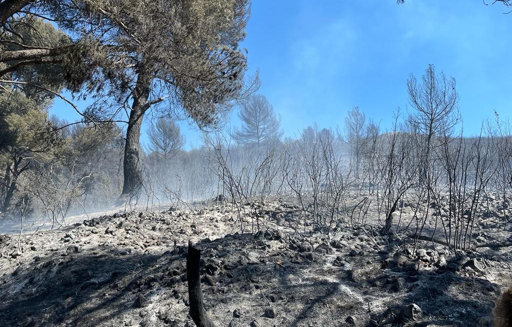 Bouches-du-Rhône : Un incendie aux portes de Marseille parcourt une dizaine d’hectares