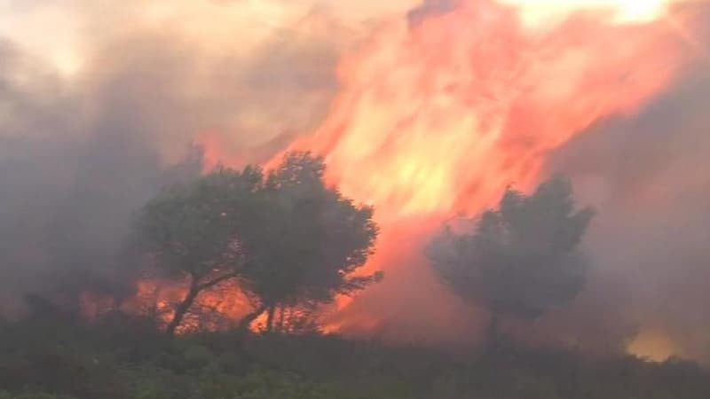 Espagne: 700 personnes évacuées à cause d’un feu de forêt “hors de contrôle” dans l’ouest du pays