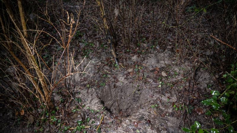 Aux Pays-Bas, les fouilles officielles pour retrouver un trésor nazi sont un échec