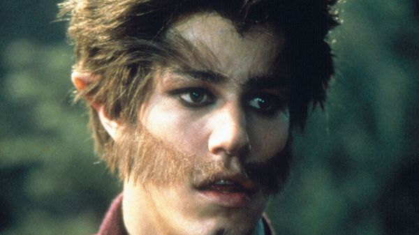 Le loup-garou du campus : que sont-ils devenus ?