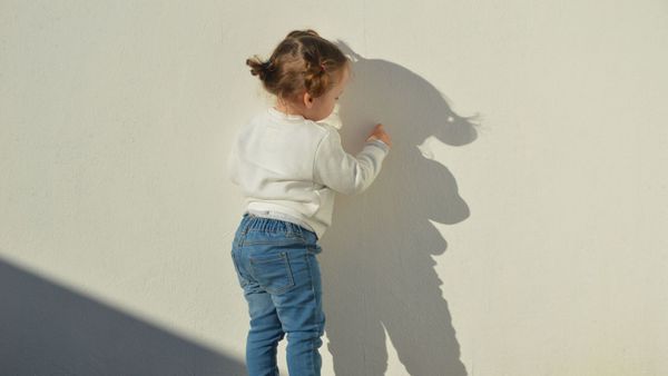 Meurtre de la petite Rose dans les Vosges : "Il passe en vélo et me dit…", une fillette repérée par le suspect témoigne 