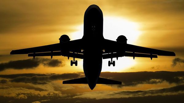 TÉMOIGNAGE. “Mon ex m’a dit qu’il sortait le chien mais en fait il l’a enlevé”