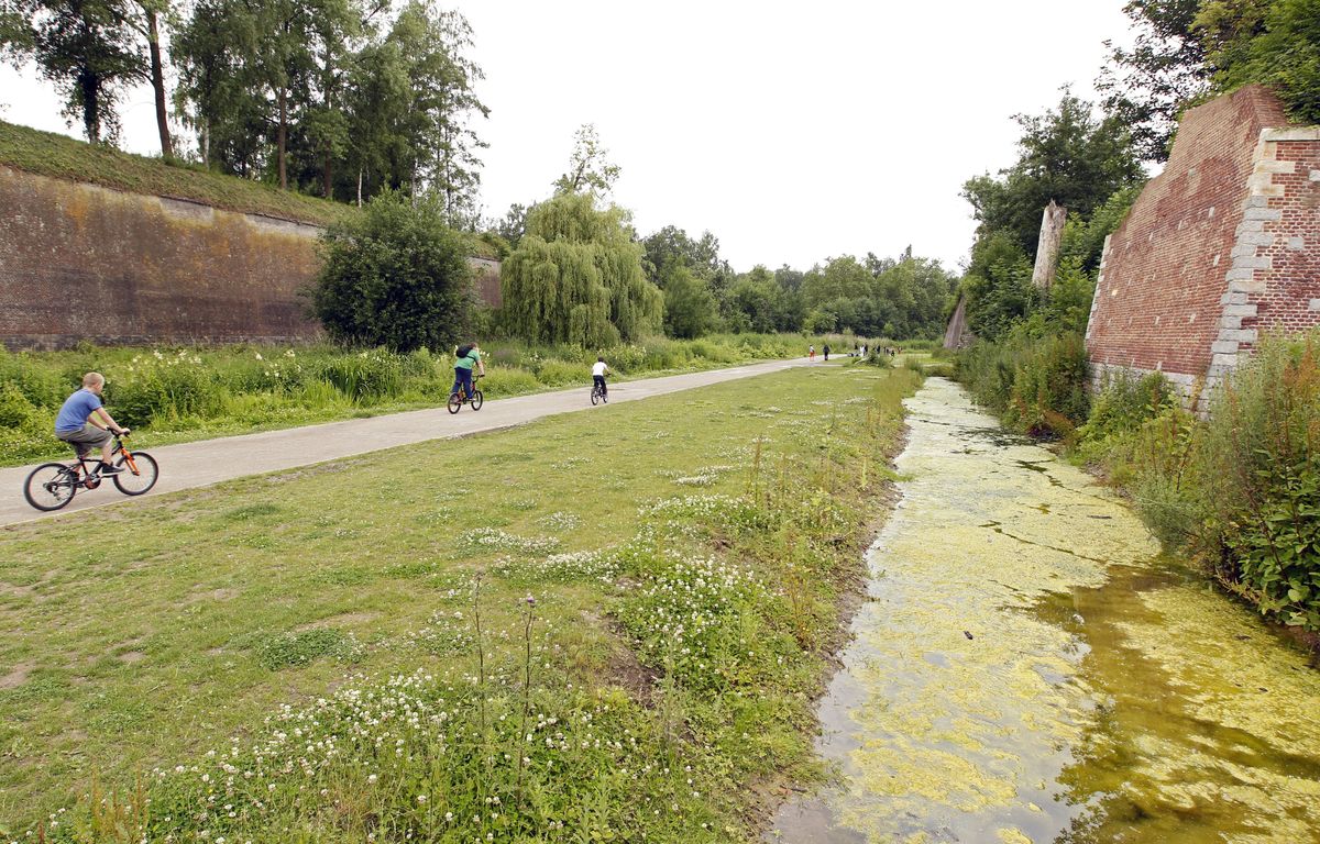 Lille : Quatre chiens meurent intoxiqués dans un parc municipal