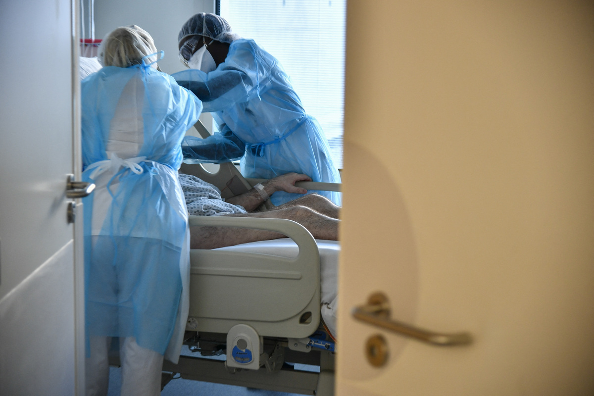Une femme subit les foudres d’une corneille en plein Paris, elle finit à l’hôpital