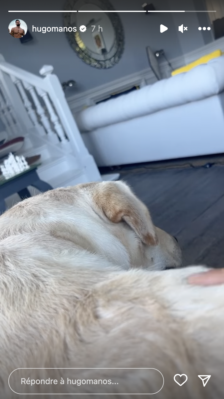 Hugo Manos : il dévoile des images du Petit Manoir, la somptueuse propriété normande de Laurent Ruquier