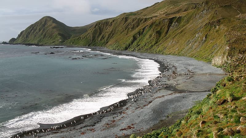 L’Australie confirme la création d’un gigantesque parc marin fermé à la pêche et l’exploitation minière