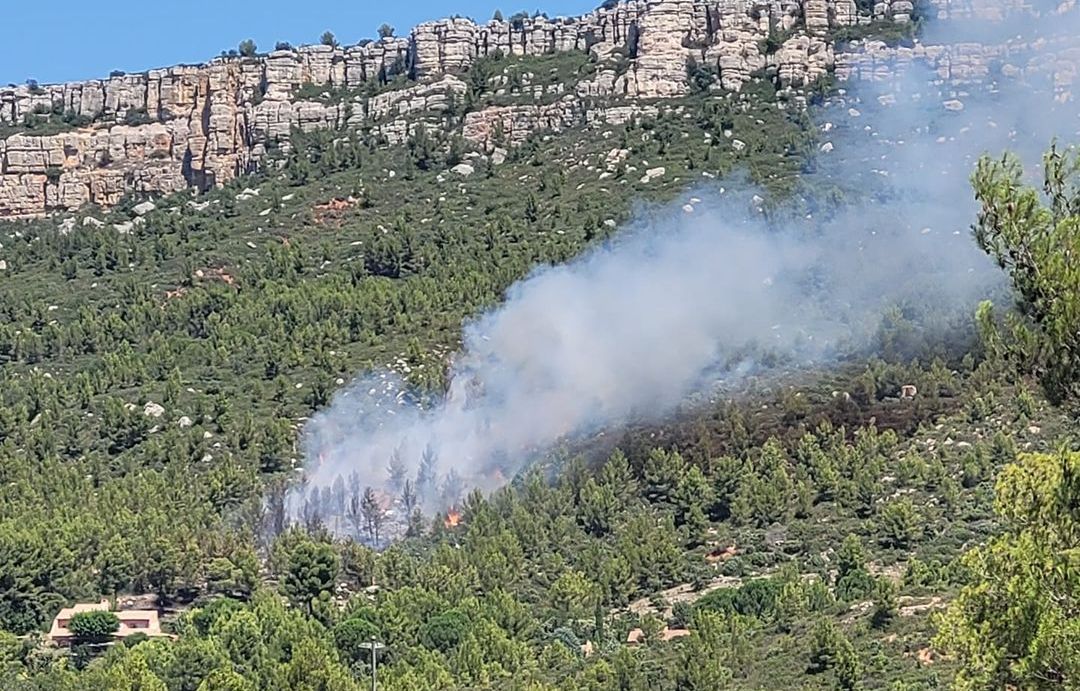 Bouches-du-Rhône : Un incendie brûle trois hectares à Châteauneuf-le-Rouge