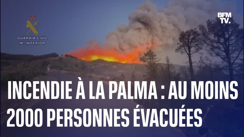 Espagne: un incendie de forêt à La Palma entraîne l’évacuation d’au moins 2000 personnes