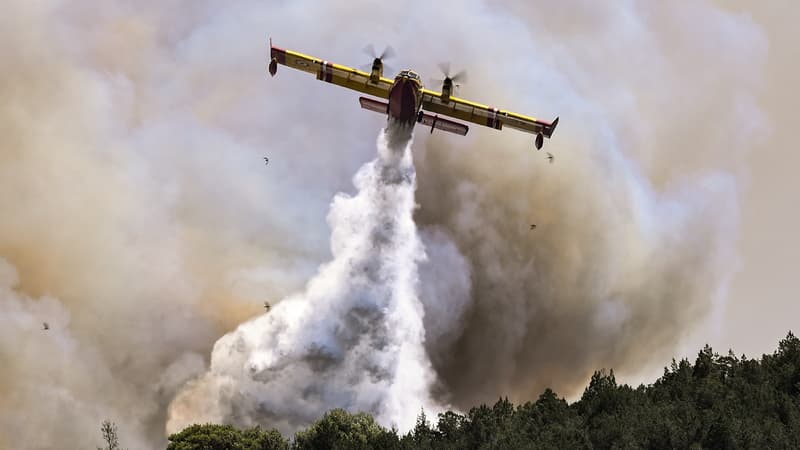 Incendies en Grèce: le corps carbonisé d’un homme retrouvé sur l’île d’Eubée
