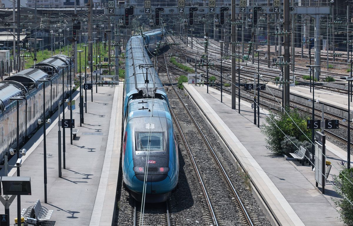 Interruption des trains entre la France et l’Italie après un éboulement de pierres en Savoie