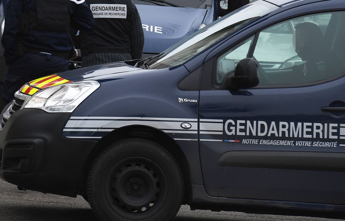 Seine-et-Marne : Deux hommes cambriolent une femme à son domicile