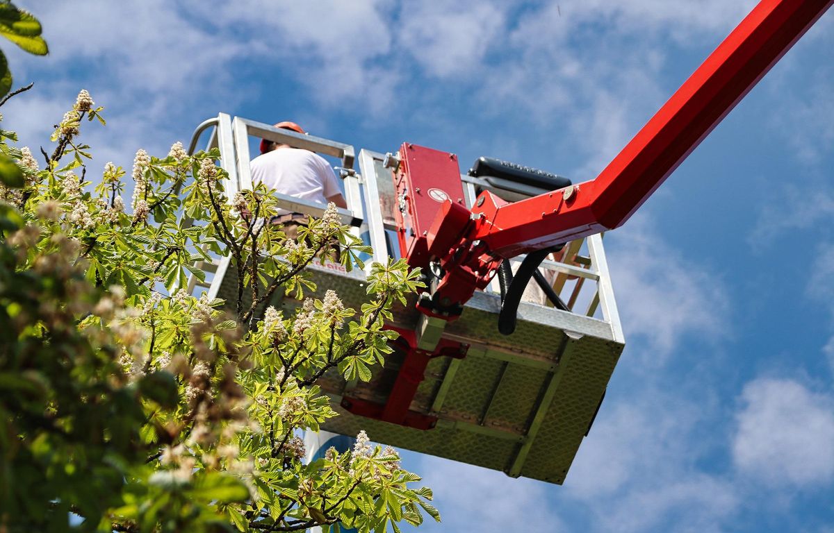 Bordeaux : Après la chute d’une nacelle, cinq ouvriers « en urgence absolue »