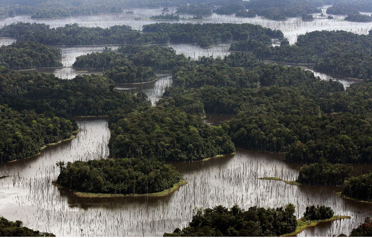 La Guyane touchée par une panne de courant massive dimanche