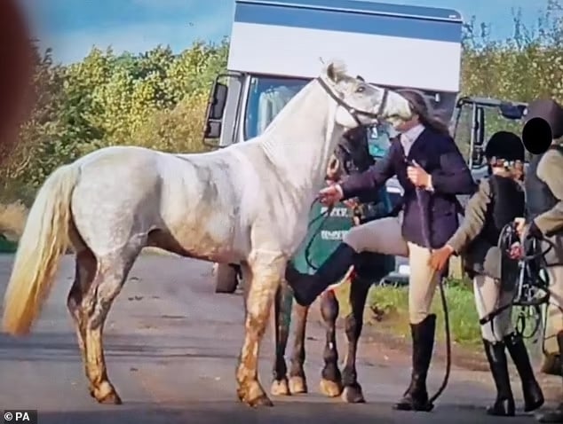 TÉMOIGNAGE. “Après avoir été filmée en train de frapper mon cheval, ma carrière a été brisée et mes enfants menacés”