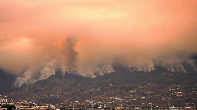 À Tenerife, l’espoir d’une stabilisation de l’incendie “dans les prochains jours”