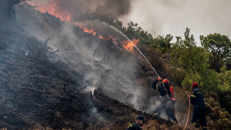 Feux de forêt en Grèce: au moins 18 corps retrouvés sur un chemin emprunté par des migrants
