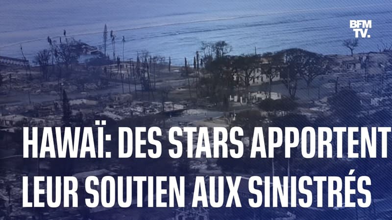 Incendies à Hawaï: des célébrités apportent leur soutien aux sinistrés