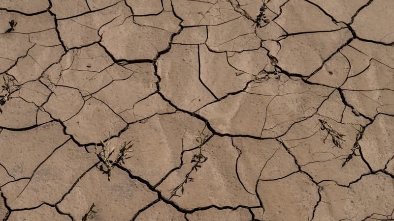 50,4°C: le Maroc enregistre un nouveau record de température national