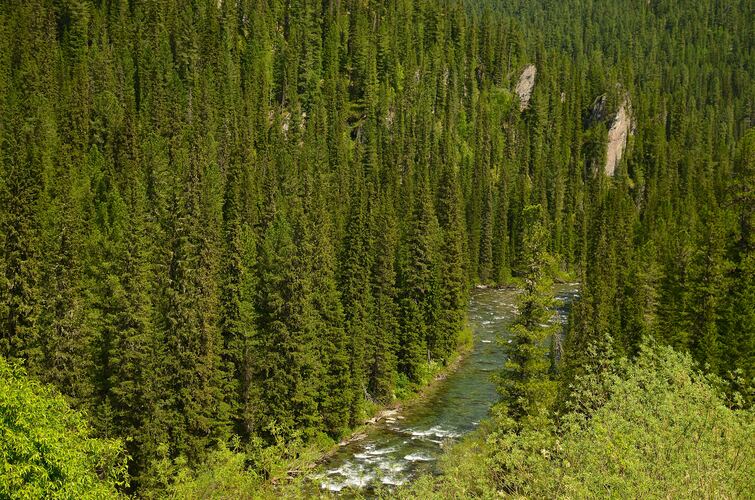 Des scientifiques trouvent une habitation dans un endroit isolé de la planète, ce qu’ils y découvrent est effarant