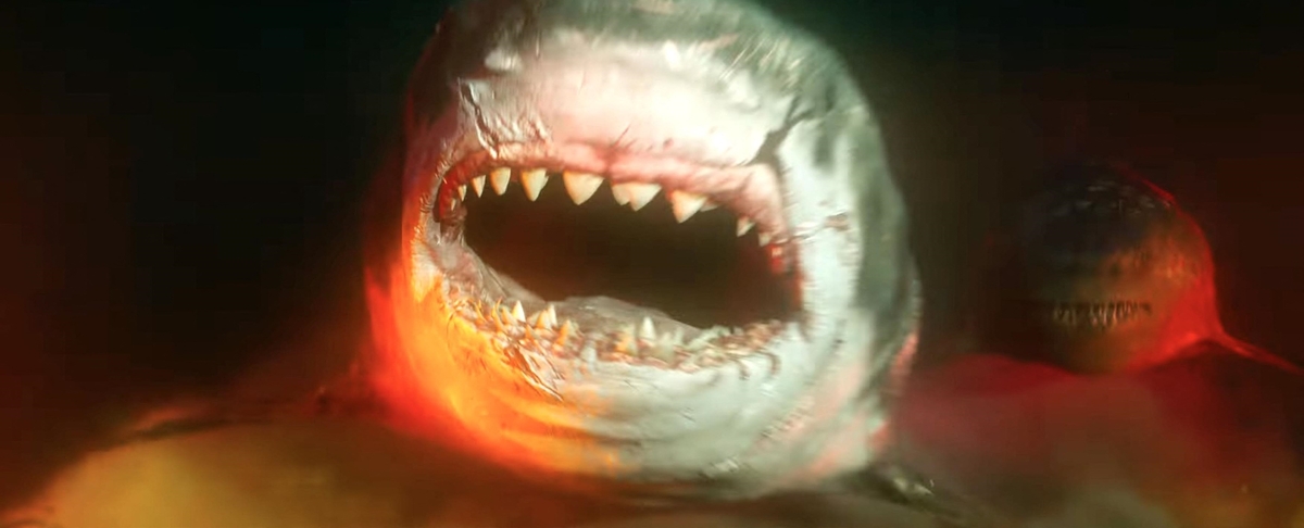 Mégalodon : on connaît enfin la raison de l’extinction du plus grand requin de l’histoire