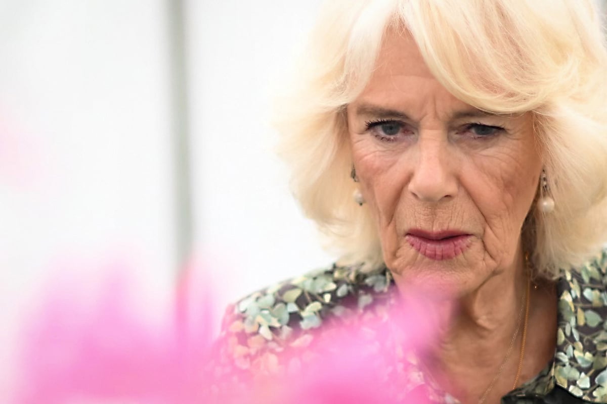 Camilla Parker Bowles en deuil : Kevin Burke, le premier amour de la reine, est mort