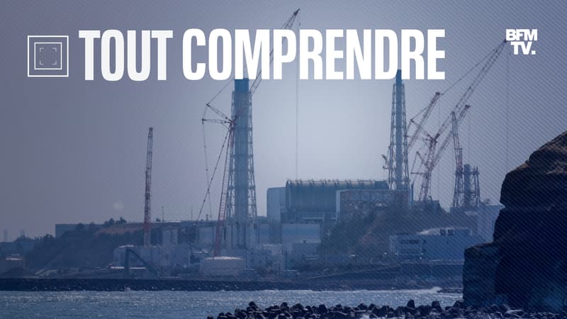 TOUT COMPRENDRE – Rejeter les eaux de Fukushima en mer, le projet japonais controversé qui inquiète