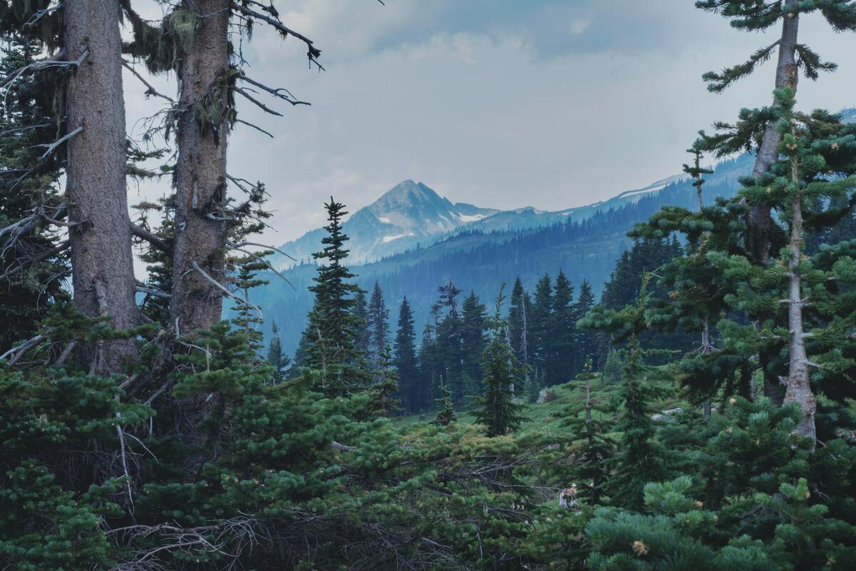 Prédateur des bois : « C’est tellement énorme… », les réactions édifiantes des proches du violeur en série présumé