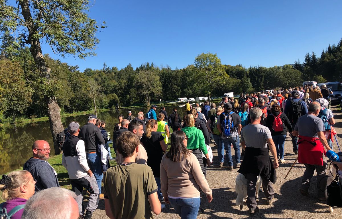 Disparition de Lina en Alsace : « La solidarité existe encore »… Près de 400 personnes participent à la battue