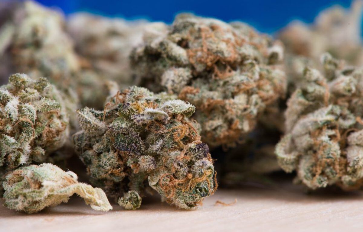 Puy-de-Dôme : 410 kg de cannabis saisis par les douaniers après une folle course-poursuite sur l’autoroute