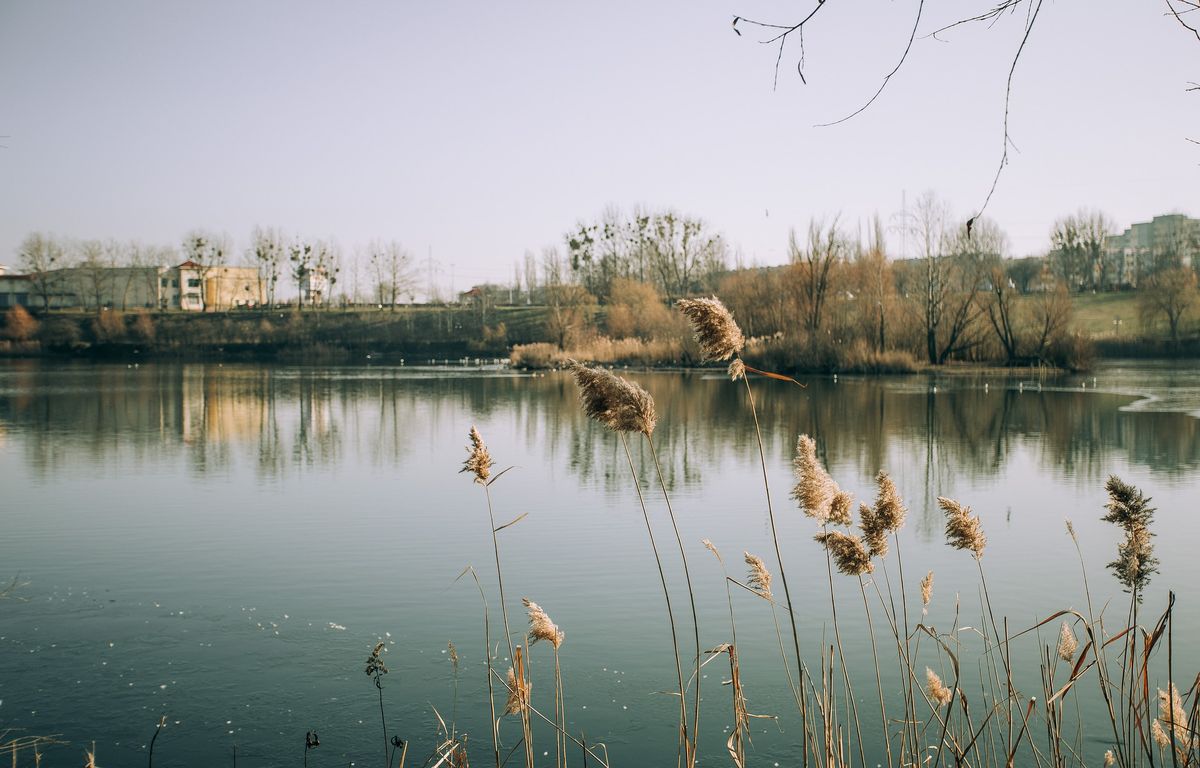 Ardennes : Un homme de 29 ans meurt lors d’une baignade dans un lac