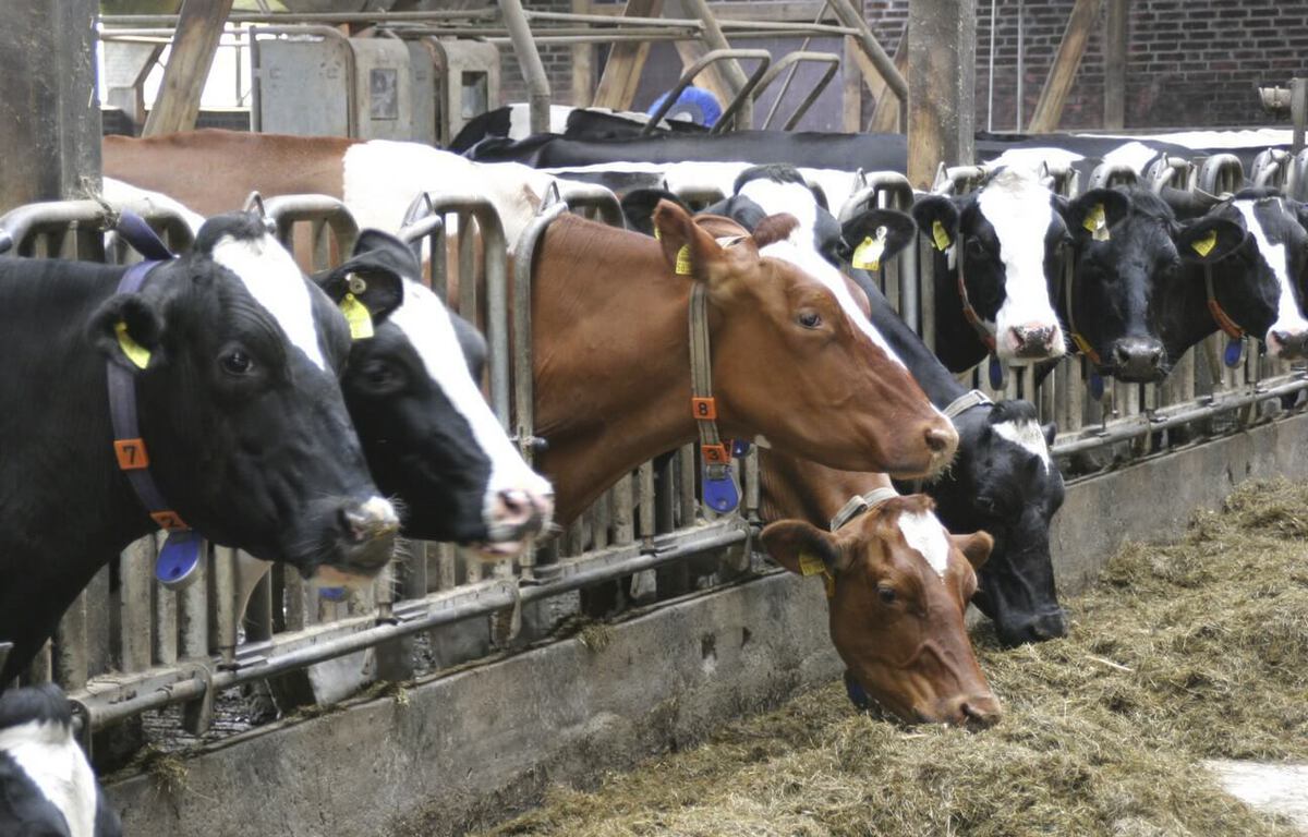 Loire-Atlantique : Un éleveur agressé, son bâtiment et du matériel incendiés