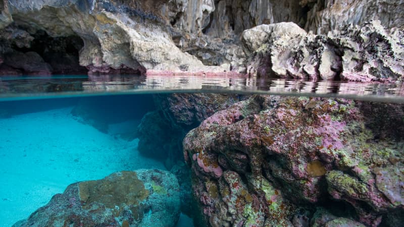 Réchauffement: une île du Pacifique menacée par la montée des eaux propose de parrainer un bout de terre pour 140 euros