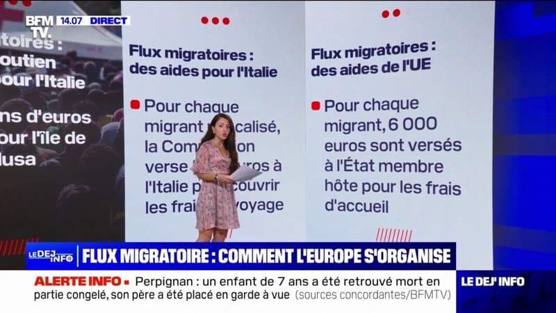 LES ÉCLAIREURS – Flux migratoires: quelles sont les aides européennes versées aux pays d’accueil?