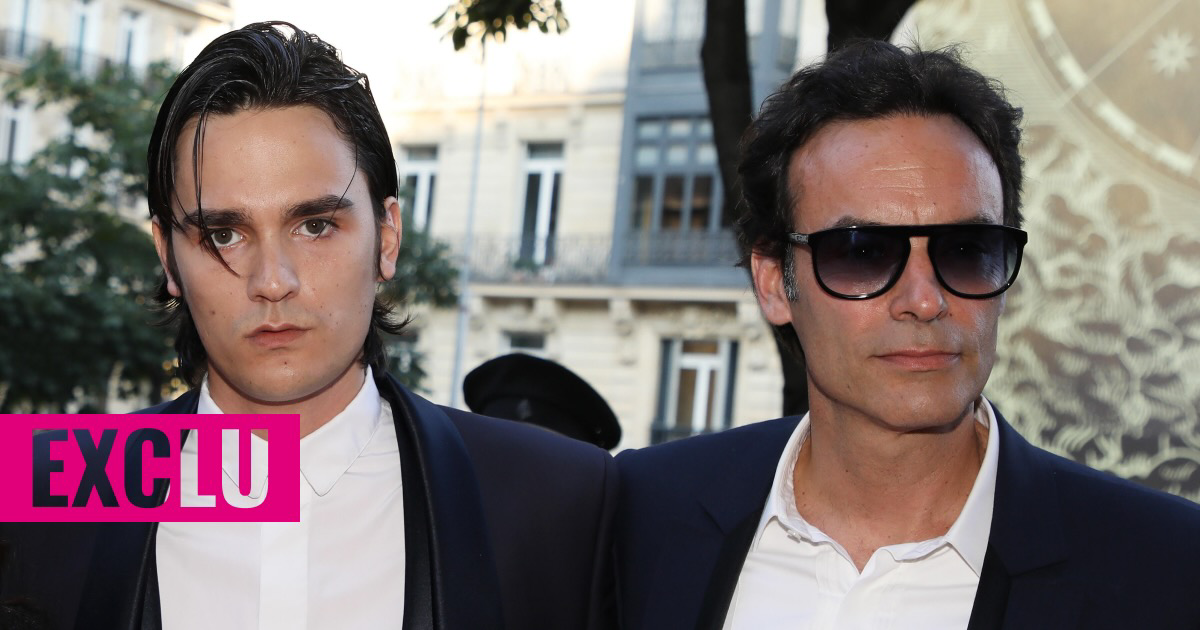 EXCLU. “Aucune aide”, “vérité travestie”, “honteux et grotesque”…, Hiromi Rollin pas tendre avec les enfants d'Alain Delon