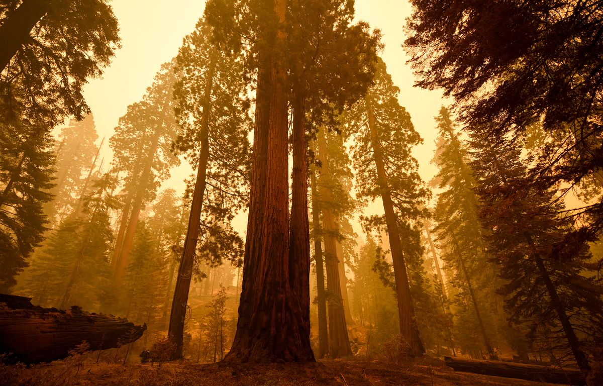 Californie : Un Français se tue lors d’une randonnée dans les montagnes