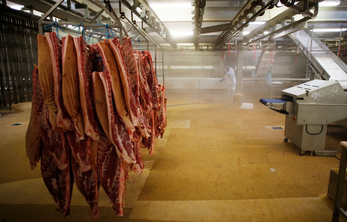 Ille-et-Vilaine : Deux syndicalistes frappés et enfermés dans la chambre froide d’un abattoir